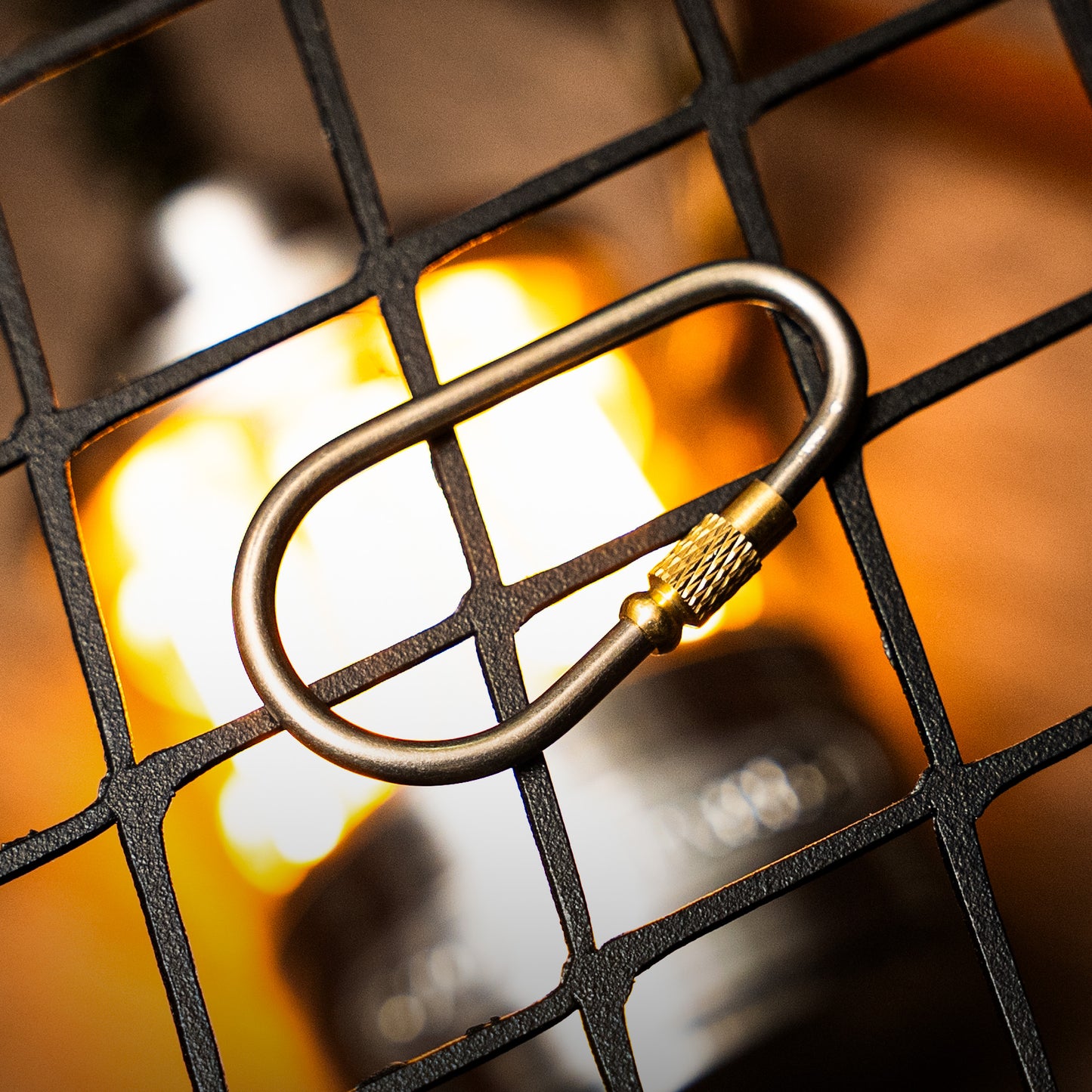 Titanium Carabiner Keychain Clip