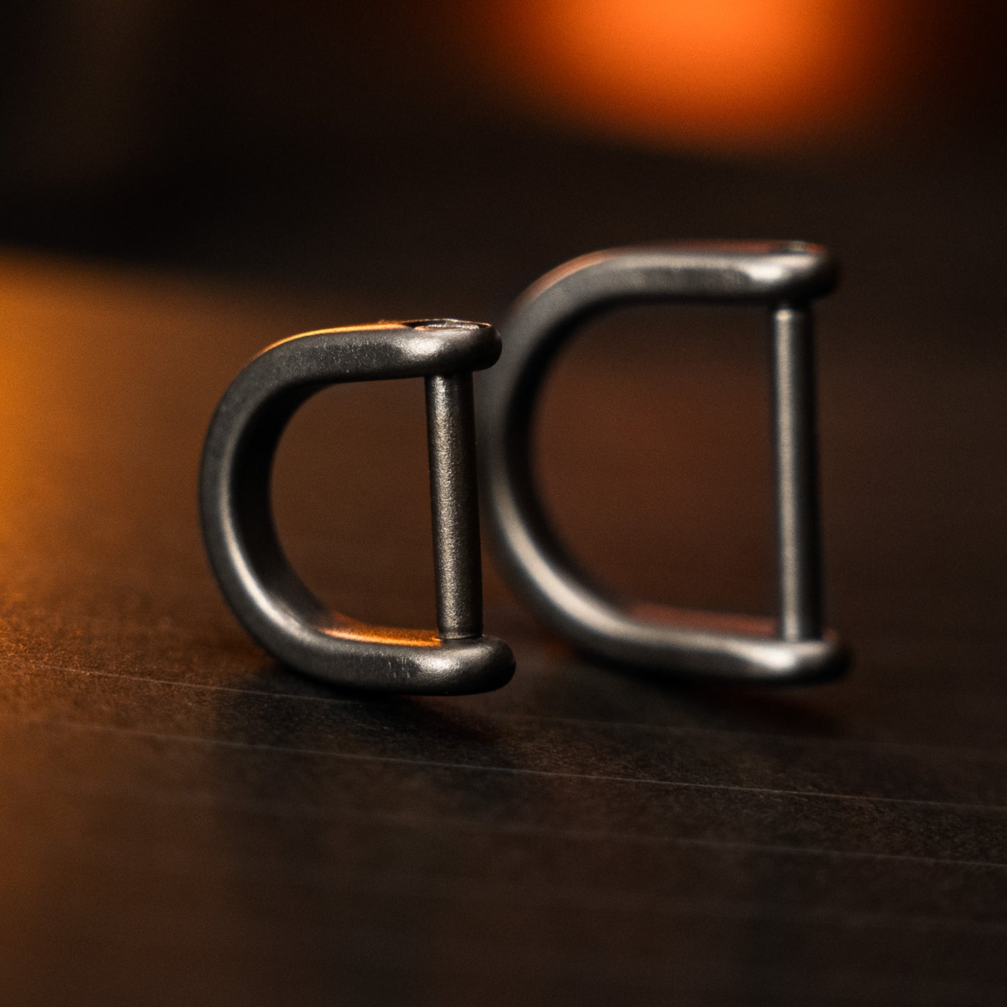 Titanium D Ring Keychain (2pcs)