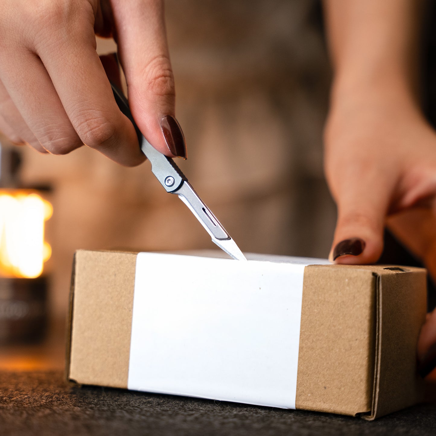 CT10 Stainless Steel Folding Scalpel Medical Folding Knife