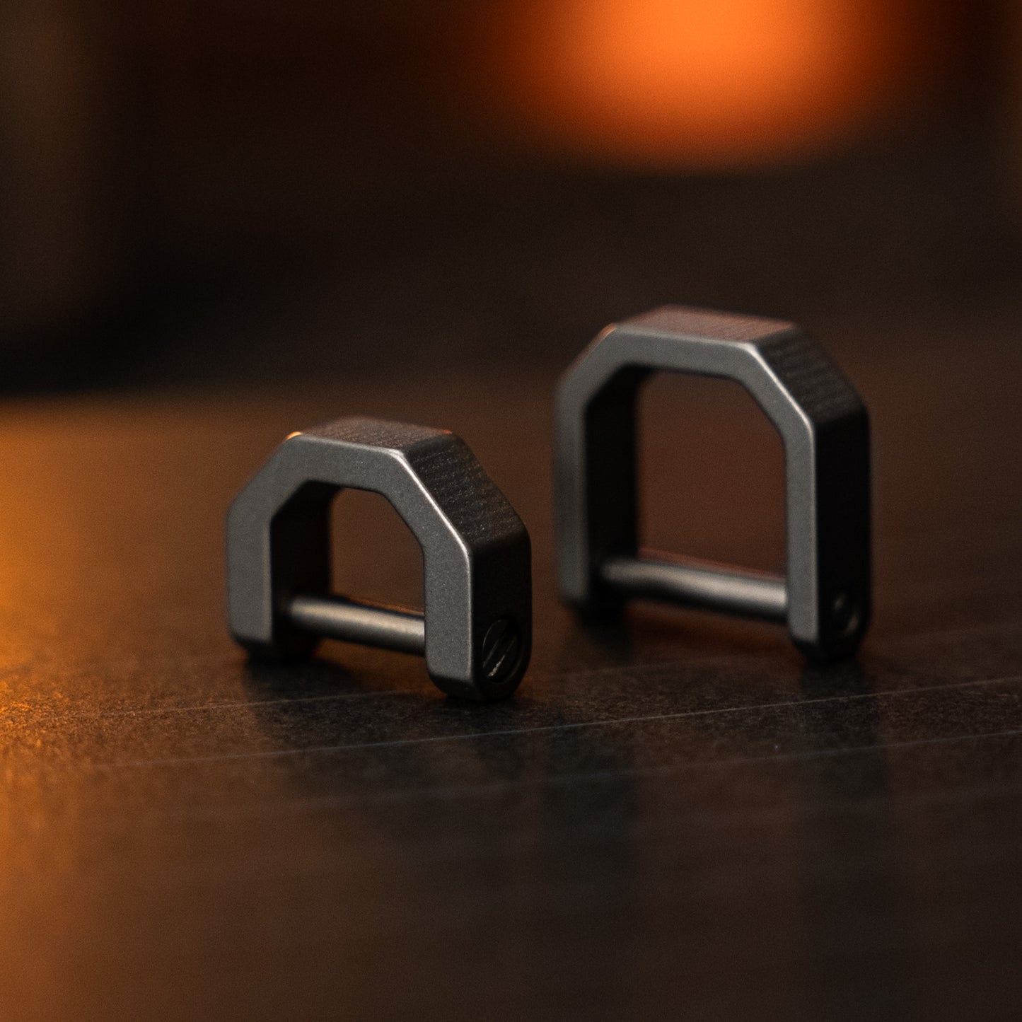 Titanium D Ring Keychain (2pcs)